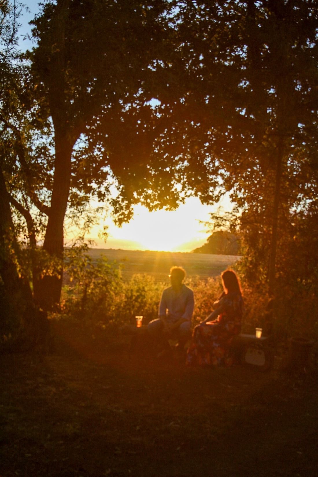 Couple sitting together at sunset, framed by trees above a golden field