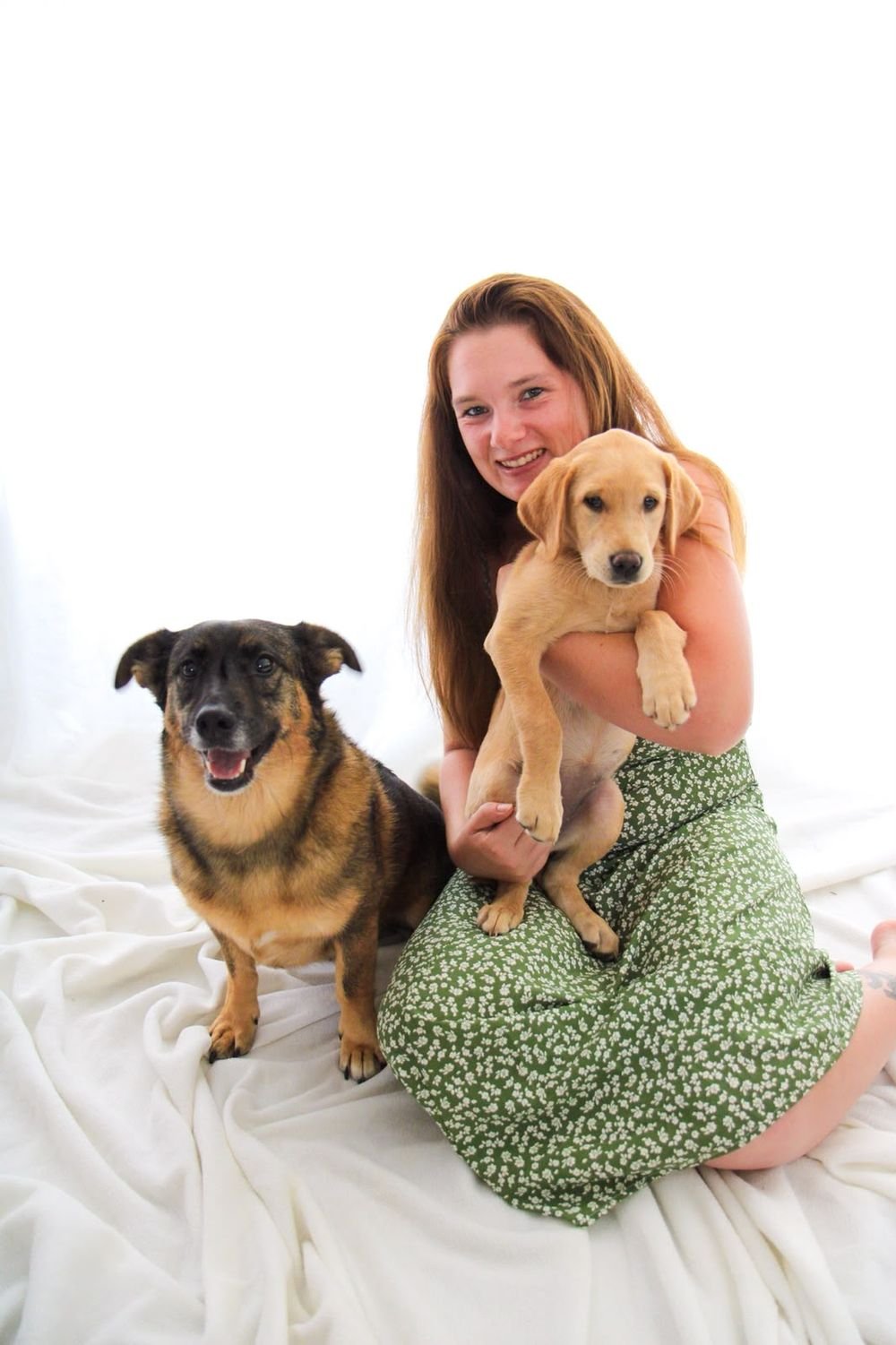 Woman holding a labrador puppy beside her older dog in a bright studio